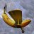 Flying Banana